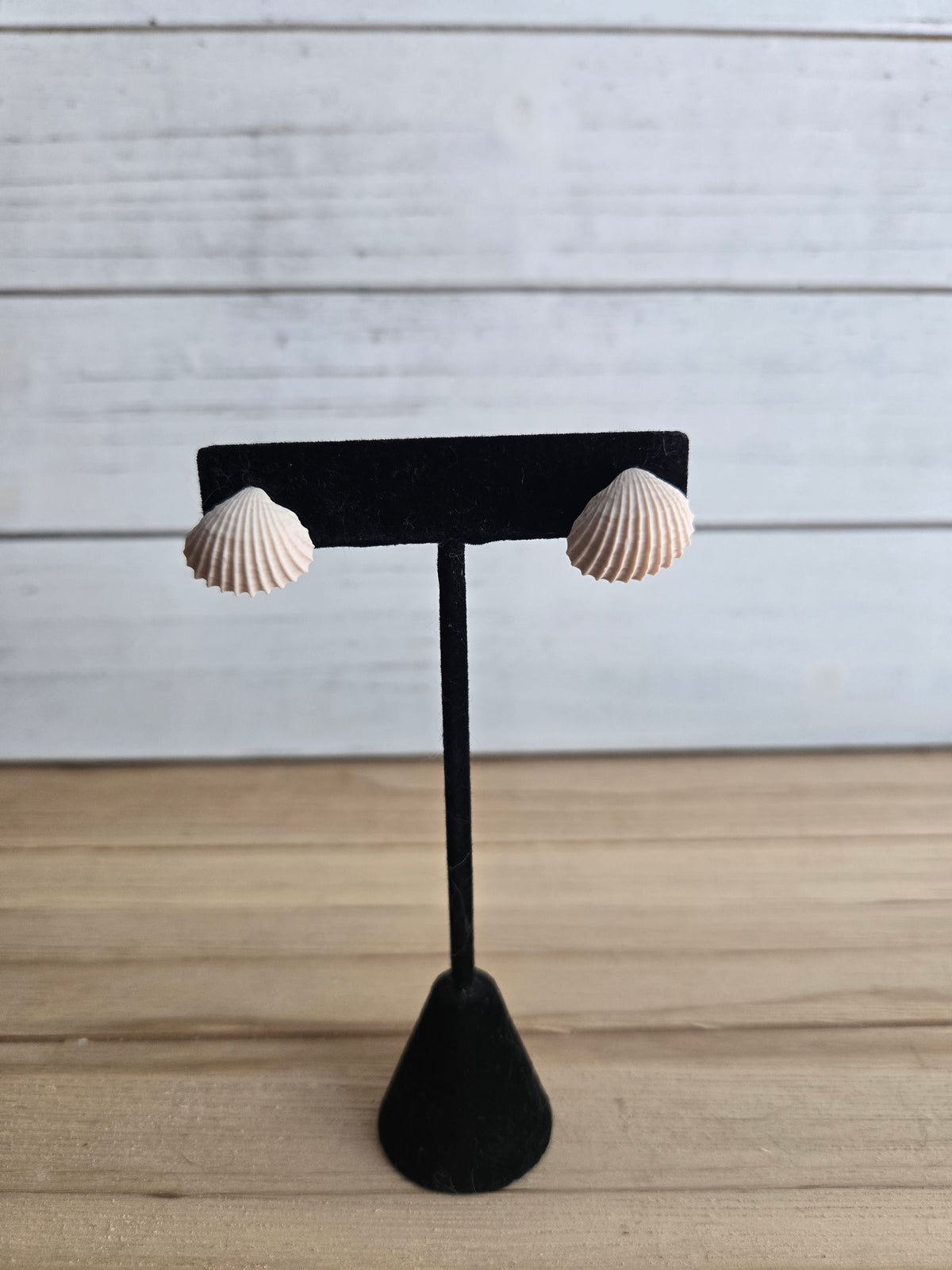 Seashell molded studs